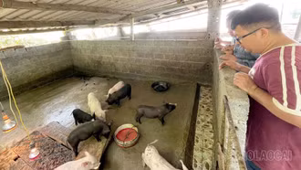 Cốc San tuyên truyền Nghị quyết 21 về phát triển nông, lâm, thủy sản