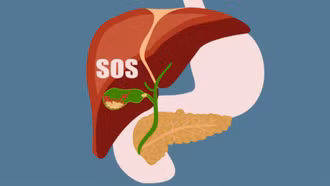 Infograhic: Những dấu hiệu cảnh báo gan đang quá tải