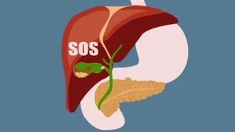 Infograhic: Những dấu hiệu cảnh báo gan đang quá tải