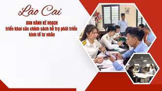 Lào Cai ban hành kế hoạch triển khai các chính sách hỗ trợ phát triển kinh tế tư nhân