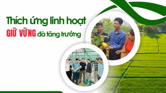 Thích ứng linh hoạt giữ vững đà tăng trưởng