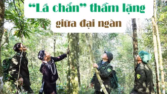“Lá chắn” thầm lặng giữa đại ngàn