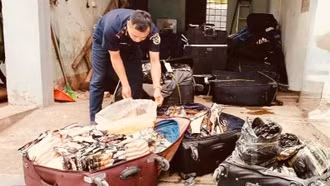 Ngăn chặn hơn 1,8 tấn thực phẩm đông lạnh nhập lậu tại các cửa khẩu phía Bắc