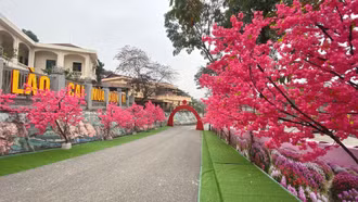 Bảo tàng tỉnh Lào Cai sẵn sàng đón khách dịp Xuân Bính Ngọ 2026