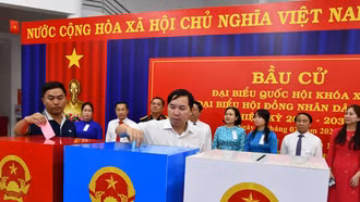 Cử tri có được nhờ người khác bỏ phiếu thay?