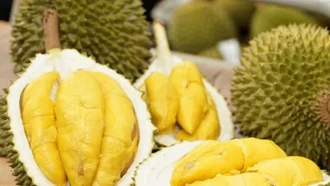 Trung Quốc yêu cầu xác nhận từ cơ quan thẩm quyền với 20 nhóm nông sản