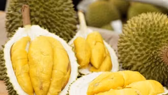 Trung Quốc yêu cầu xác nhận từ cơ quan thẩm quyền với 20 nhóm nông sản