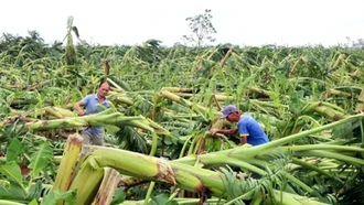 Đề xuất mới về bảo hiểm nông nghiệp