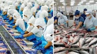 Danh mục động vật, sản phẩm động vật thủy sản thuộc diện phải kiểm dịch, miễn kiểm dịch