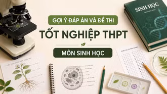 Cập nhật đề thi, đáp án môn Sinh học tốt nghiệp THPT 2026 nhanh mới nhất