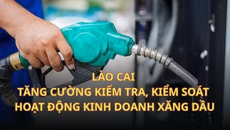 Lào Cai tăng cường kiểm tra, kiểm soát hoạt động kinh doanh xăng dầu