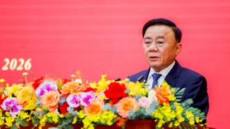 Ban Bí thư yêu cầu tiếp tục nghiên cứu, đánh giá việc sử dụng cát biển trong các dự án