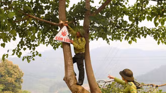 Phường Nghĩa Lộ tăng cường phòng cháy, chữa cháy rừng