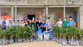 Cảm Nhân: Tập huấn và bàn giao cây giống triển khai mô hình trồng tre măng Bát độ 2026