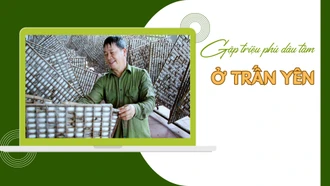 Gặp triệu phú dâu tằm ở Trấn Yên