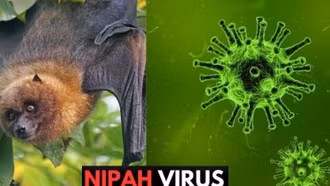 WHO xác nhận ca tử vong do virus Nipah ở Bangladesh