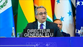 UNESCO hỗ trợ khẩn cấp Việt Nam bảo vệ di sản văn hóa sau thiên tai