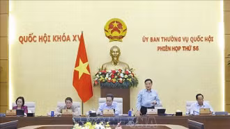 Tổng rà soát hệ thống văn bản quy phạm pháp luật, tạo nền tảng phát triển nhanh, bền vững