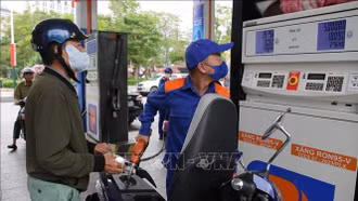 Hoàn thiện quy chuẩn kỹ thuật, thúc đẩy triển khai xăng sinh học E10 trên toàn quốc