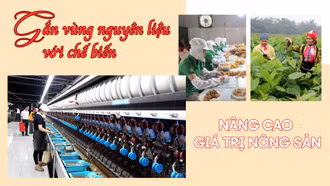 Gắn vùng nguyên liệu với chế biến: Nâng cao giá trị nông sản
