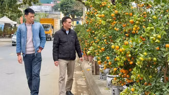 Chợ hoa Xuân đất mỏ