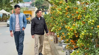 Chợ hoa Xuân đất mỏ