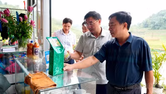 Hội Nông dân tỉnh Lào Cai làm việc với Đảng ủy xã Mường Hum về phát triển nông nghiệp, nông dân, nông thôn