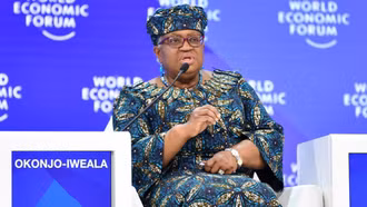 WTO: Thương mại toàn cầu đối mặt khủng hoảng nghiêm trọng nhất trong 80 năm qua