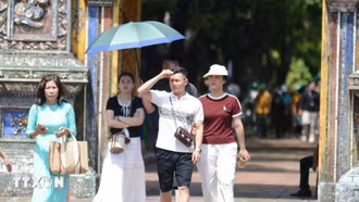 Cẩn trọng tránh bẫy lừa đảo khi đặt phòng, vé máy bay dịp Tết