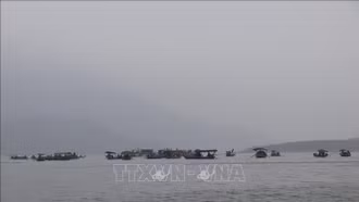 Siết chặt quản lý, phòng ngừa tai nạn giao thông đường thủy