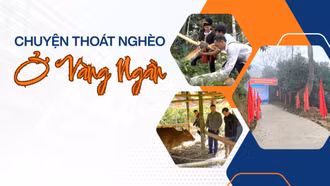 Chuyện thoát nghèo ở Vàng Ngần