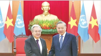 Chủ động, tích cực triển khai Nghị quyết Đại hội XIV trong công tác Đối ngoại