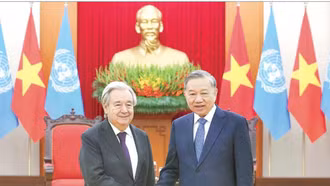 Chủ động, tích cực triển khai Nghị quyết Đại hội XIV trong công tác Đối ngoại