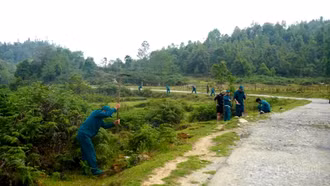 Tả Van trồng 300 cây hoàng đàn, xanh hóa thao trường