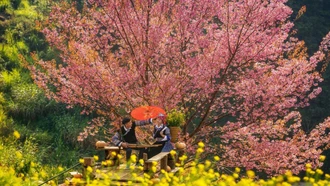 Say đắm sắc xuân rẻo cao qua ống kính nhiếp ảnh