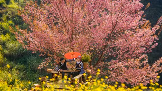 Say đắm sắc xuân rẻo cao qua ống kính nhiếp ảnh