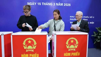 Xác nhận tư cách của người trúng cử đại biểu Quốc hội khóa XVI