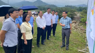 Đoàn giám sát số 15 của Tỉnh ủy kiểm tra tại xã Nghĩa Đô