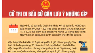Cử tri đi bầu cử cần lưu ý những gì?