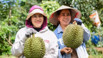 Việt Nam có thể vượt Thái Lan, thành nước xuất khẩu sầu riêng lớn nhất thế giới