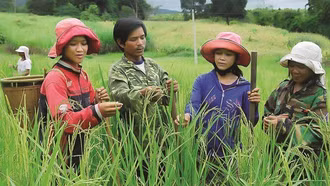 Phân bổ vốn ngân sách tại địa phương để xây dựng nông thôn mới và giảm nghèo bền vững giai đoạn 2026 - 2030