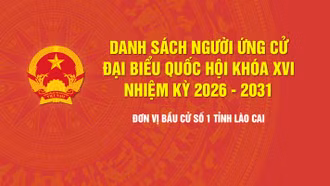 [Infographic] Tiểu sử tóm tắt những người ứng cử đại biểu Quốc hội khóa XVI - Đơn vị bầu cử số 1, tỉnh Lào Cai