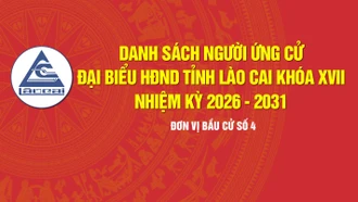 [Infographic] Tiểu sử tóm tắt những người ứng cử đại biểu HĐND tỉnh Lào Cai khóa XVII, nhiệm kỳ 2026 - 2031 (Đơn vị bầu cử số 4)
