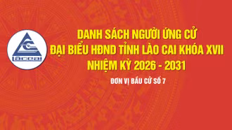 [Infographic] Tiểu sử tóm tắt những người ứng cử đại biểu HĐND tỉnh Lào Cai khóa XVII, nhiệm kỳ 2026 - 2031 (Đơn vị bầu cử số 7)