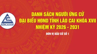 [Infographic] Tiểu sử tóm tắt những người ứng cử đại biểu HĐND tỉnh Lào Cai khóa XVII, nhiệm kỳ 2026 - 2031 - Đơn vị bầu cử số 1