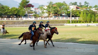 Sôi nổi khai mạc Giải đua ngựa hàng tuần tại Cao nguyên trắng Bắc Hà