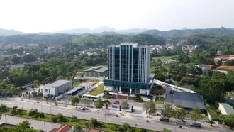 Công ty Điện Lực Lào Cai chuyển đổi hệ thống đọc xa công tơ sang EVNHES