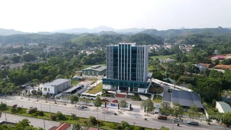 Công ty Điện lực Lào Cai: Đảm bảo cung cấp điện an toàn phục vụ bầu cử 