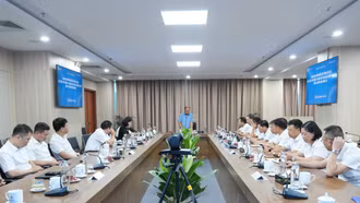 Đoàn đại biểu Quốc hội tỉnh làm việc với Công ty Điện lực Lào Cai