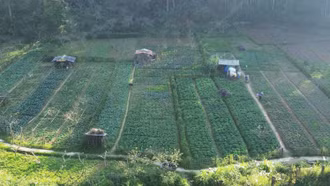 Bắc Hà đẩy mạnh tuyên truyền người dân chuyển đổi sang mô hình chuyên canh rau an toàn